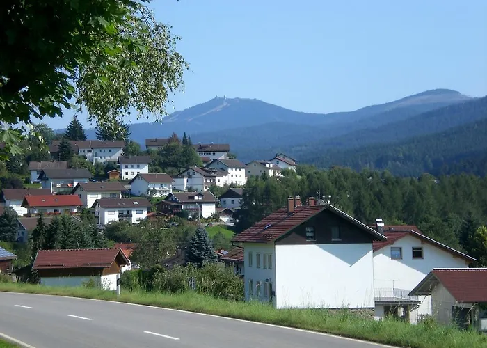 Reindl Peter * לאם